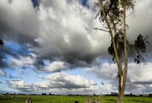 巴黎奥运缺安保，大量失业人员被强制招募参加培训，引发争议环球时报.