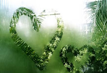 埃塞俄比亚选手打破厦门马拉松赛会纪录2025-01-06.